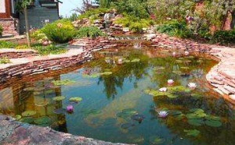 How to make a pond in the country with your own hands?