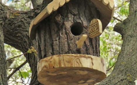 Cara membuat rumah burung do-it-yourself untuk taman di negara ini