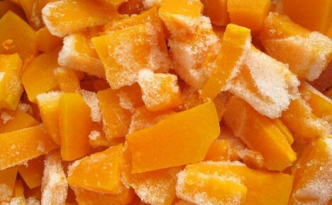 What to cook from frozen pumpkin during the cold season