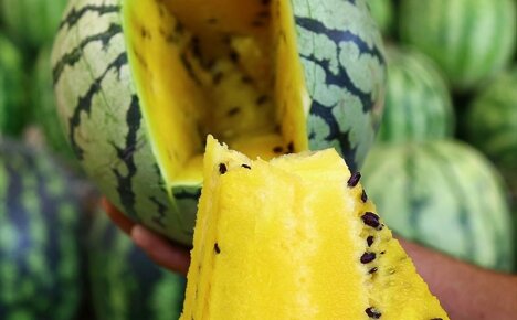 We grow an exotic berry yellow watermelon in summer cottages