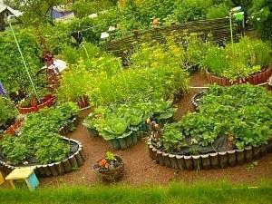 Γαλλικός κήπος λαχανικών