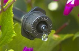 Conta-gotas para irrigação de canteiros