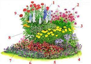 Scheme of a flower bed of annuals