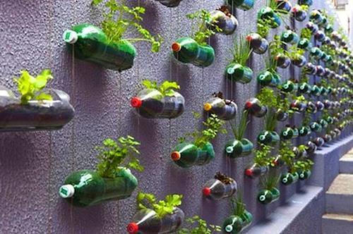 Canteiro de flores vertical feito de garrafas plásticas