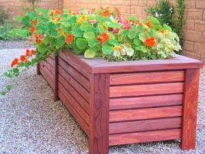 tall wooden flower bed