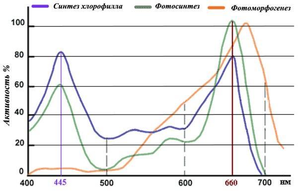Spectrum efficiency plot for seedlings