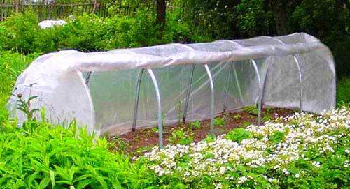 mini drivhus til kimplanter
