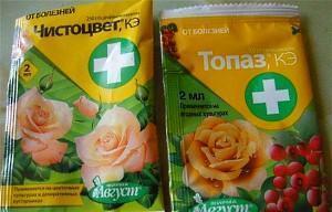 Препарати за лечение на черно петно ​​по рози