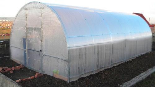 Greenhouse equipment for growing cucumbers