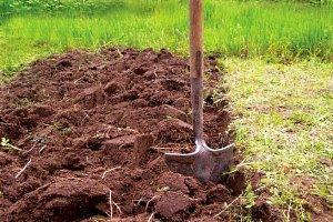 grond graven voor frambozen