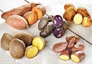 Multicolored potatoes