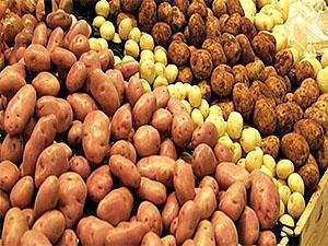 Potatoes of different varieties