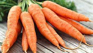 The best varieties of carrots