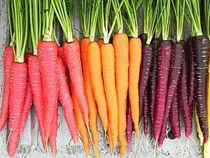 Buah wortel dengan pelbagai warna