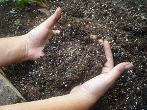 Soil preparation