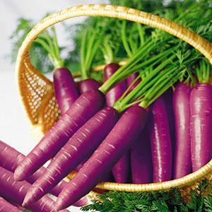 violetti porkkana