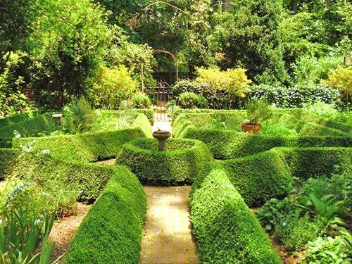 The use of boxwood in design