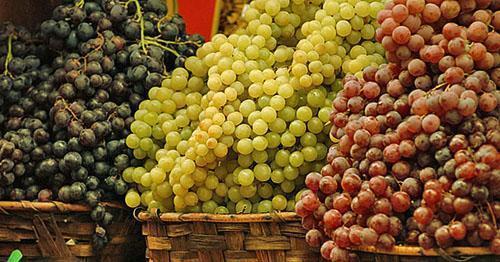 Varieti anggur terbaik di pasaran