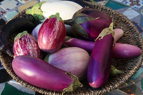 Eggplant can be cooked in many ways