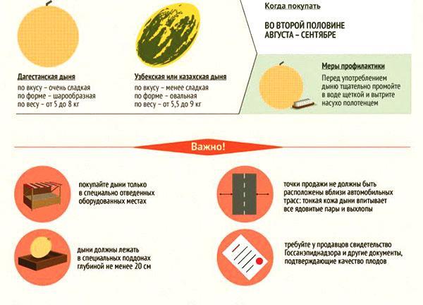 Was Sie beim Kauf einer Melone wissen müssen