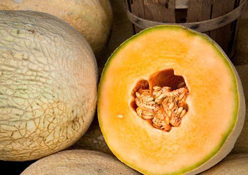 Vælg en sød aromatisk melon til frysning.