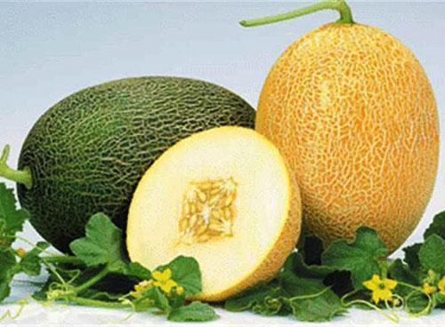 Melonmassa och frön har medicinska egenskaper