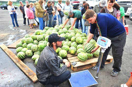 It is not recommended to buy watermelons on the side of the tracks