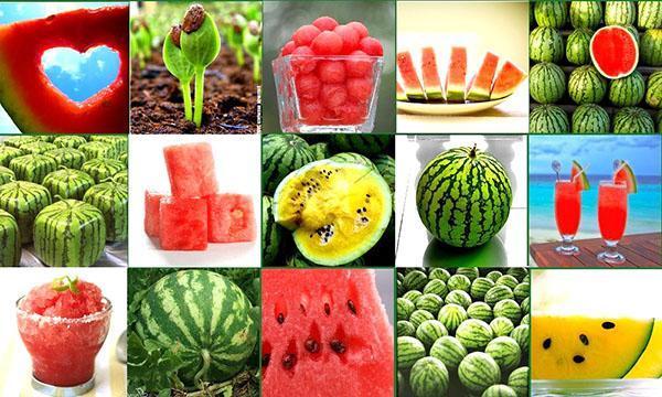 Wassermelonensaft wirkt sich positiv auf alle Organe aus