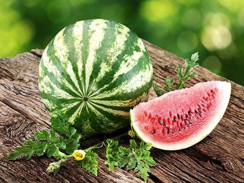 Eat Watermelons During Mass Ripening