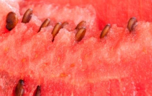 Es gibt viele nützliche Substanzen im Fruchtfleisch der Wassermelone.
