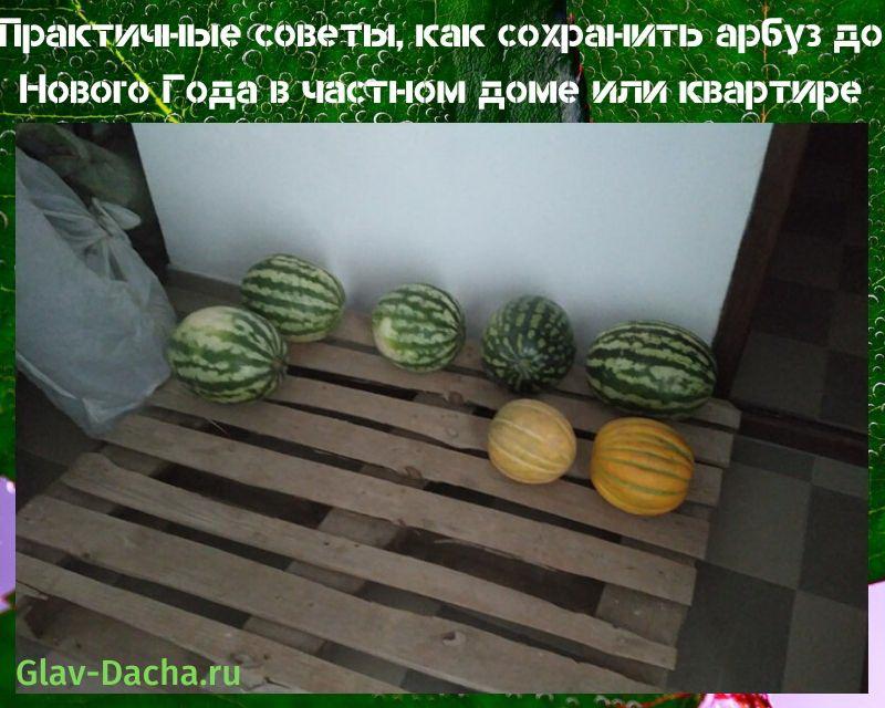 hvordan du holder en vannmelon til nyttår