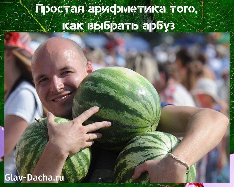 wie man eine Wassermelone wählt