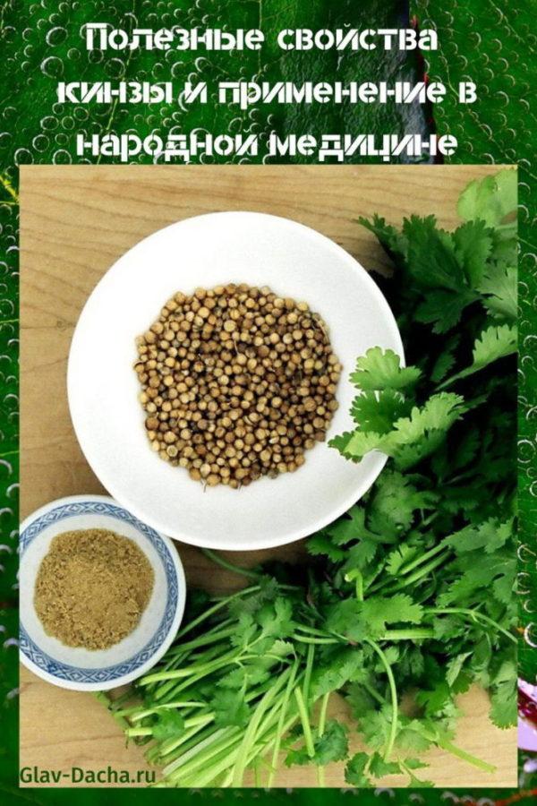 useful properties of cilantro