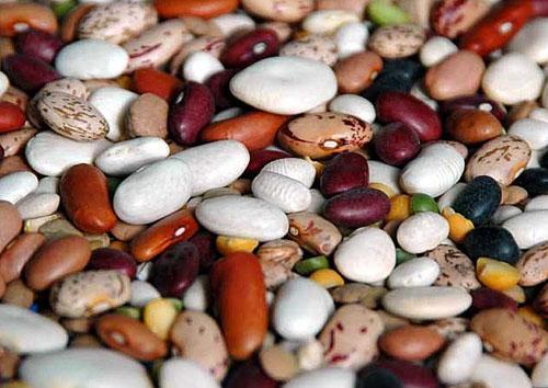 Kacang dari pelbagai jenis