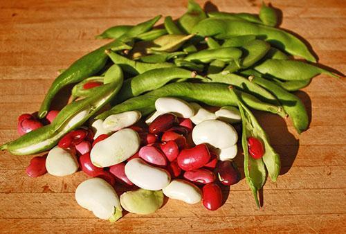 Both green and ripe beans have beneficial properties