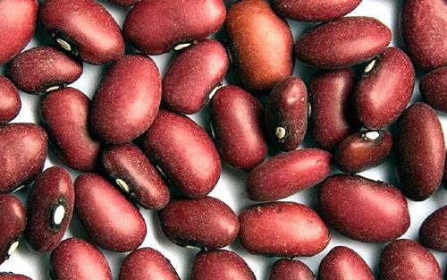 Plody červenej fazule
