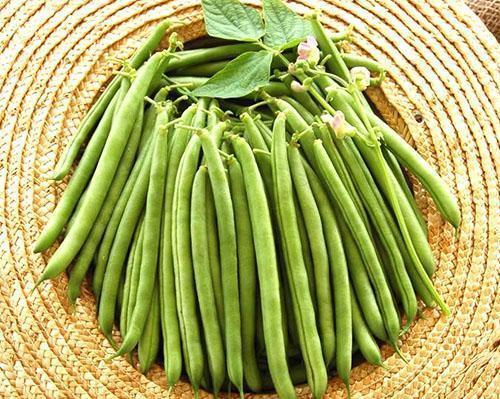 Zdravé zelené fazuľky