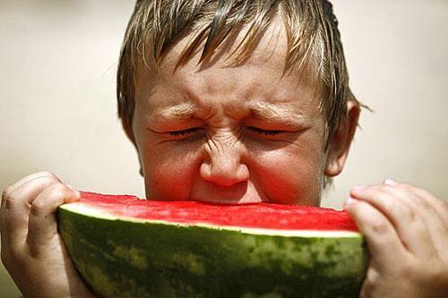 Istället för sötma har massan i en tidig vattenmelon bitterhet.