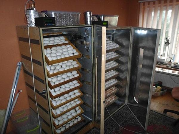 Inkubátory z chladniček v provozu