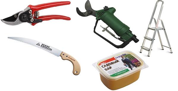 Tools for pruning fruit trees