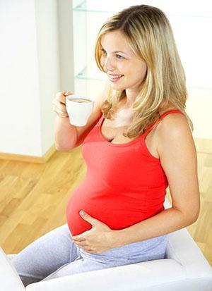 Ingvera tējas patēriņš grūtniecības laikā jāpārbauda ārstam