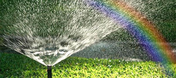The sprinkler system is easy to maintain