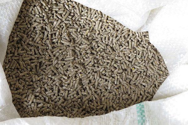 Granulated feed is suitable for feeding both small pigs and adult pigs