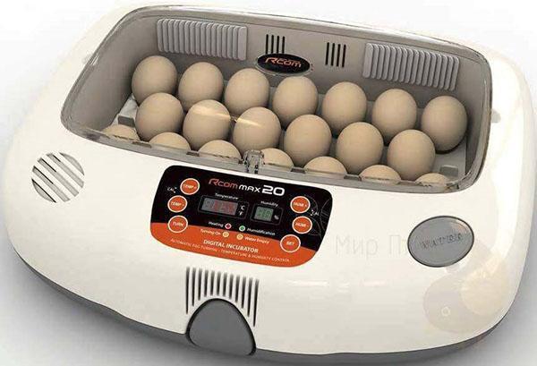 Incubatrice con rotazione automatica delle uova