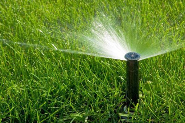 Watering occurs with the help of sprinkler nozzles