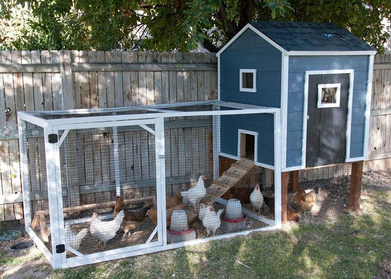 do-it-yourself chicken coop in the country