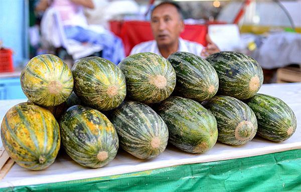 Melone Ič-kzila uzbeku 331