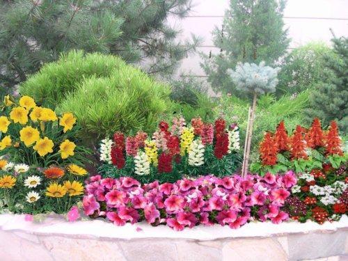 A flower bed with flowers of different heights