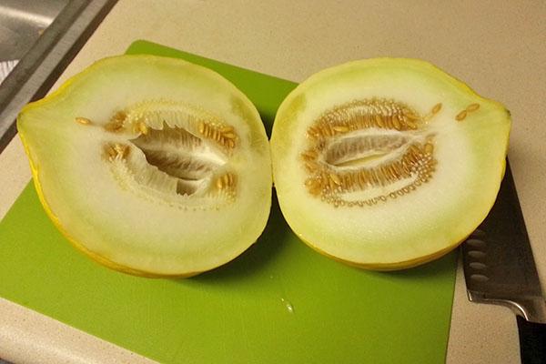 Letné melóny kassaba