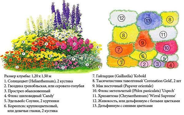 Schéma květinové zahrady č. 2
